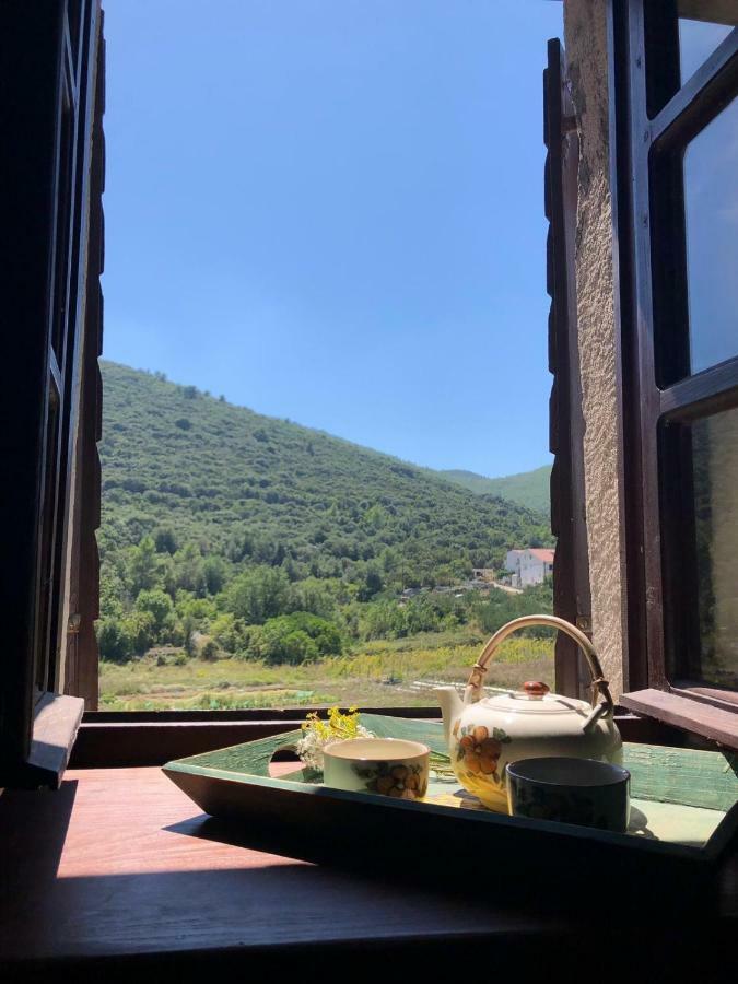 Holiday Home Villa Kastel Zrnovo Экстерьер фото